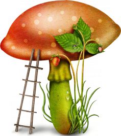 Загадки про грибы и ягоды для детей с ответами