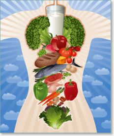 Здоровое питание. Основные принципы рационального питания