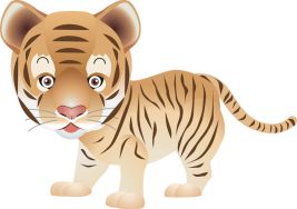 Тигр. Характеристика человека, рожденного в год Тигра