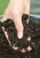 Типы почв. Как определить тип и уровень кислотности почвы самостоятельно