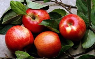 Переработка яблок в домашних условиях